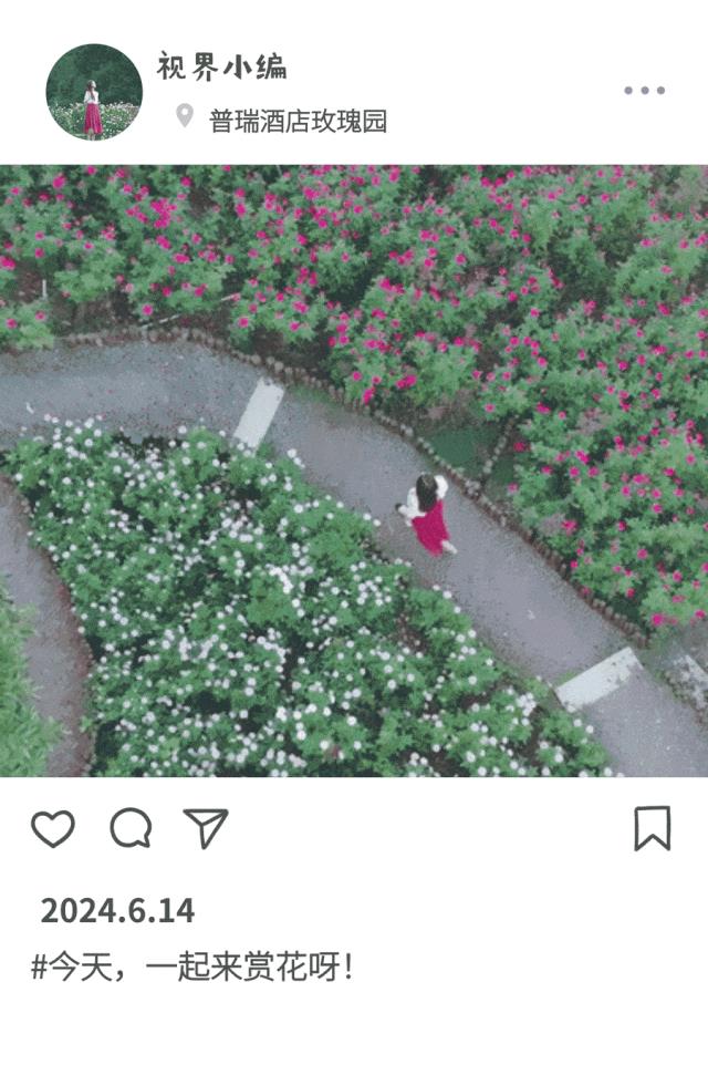 DƬ